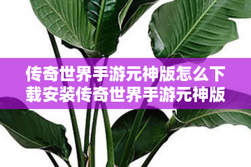 传奇世界手游元神版怎么下载安装传奇世界手游元神版怎么下载图片