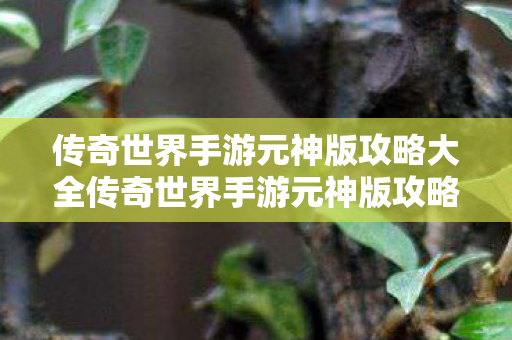 传奇世界手游元神版攻略大全传奇世界手游元神版攻略图片