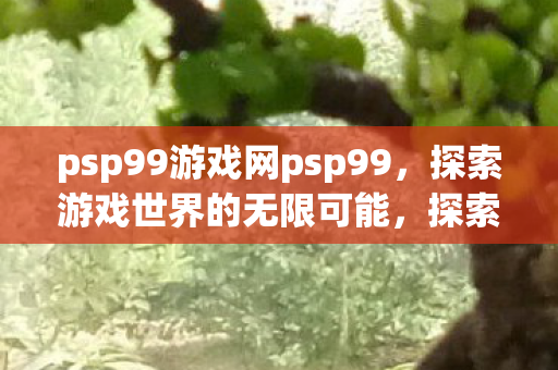 psp99游戏网psp99，探索游戏世界的无限可能，探索游戏世界的无限可能，psp99游戏网psp99