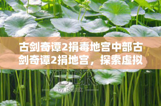 古剑奇谭2捐毒地宫中部古剑奇谭2捐地宫，探索虚拟世界的公益之旅，古剑奇谭2捐毒地宫，探索虚拟世界的公益之旅