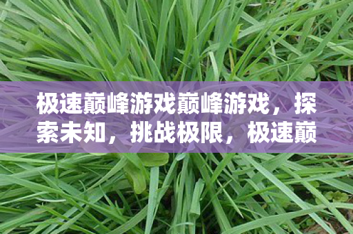 极速巅峰游戏巅峰游戏，探索未知，挑战极限，极速巅峰，探索未知，挑战极限的巅峰游戏