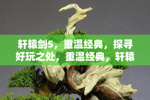 轩辕剑5，重温经典，探寻好玩之处，重温经典，轩辕剑5的玩法与魅力