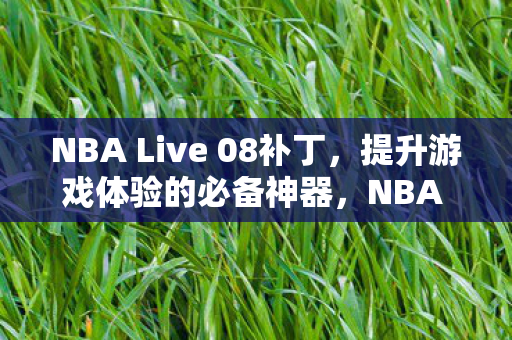 NBA Live 08补丁，提升游戏体验的必备神器，NBA Live 08补丁，提升游戏体验的必备利器