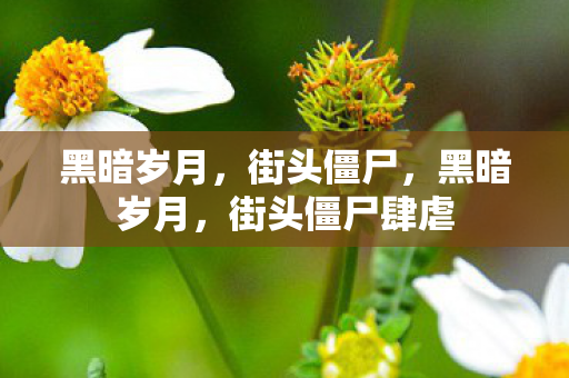 黑暗岁月，街头僵尸，黑暗岁月，街头僵尸肆虐