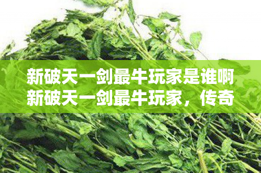 新破天一剑最牛玩家是谁啊新破天一剑最牛玩家图片