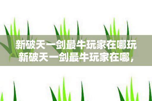 新破天一剑最牛玩家在哪玩新破天一剑最牛玩家在哪图片