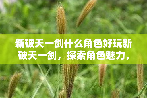 新破天一剑什么角色好玩新破天一剑图片