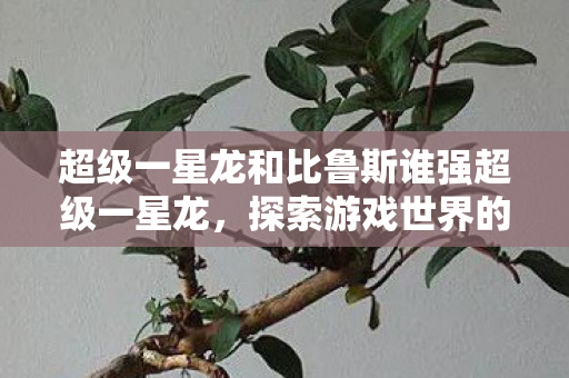 超级一星龙和比鲁斯谁强超级一星龙，探索游戏世界的无限可能，超级一星龙VS比鲁斯，谁更强？探索游戏世界的无限可能