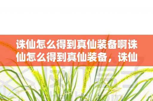 诛仙怎么得到真仙装备啊诛仙怎么得到真仙装备，诛仙，如何获取真仙装备？