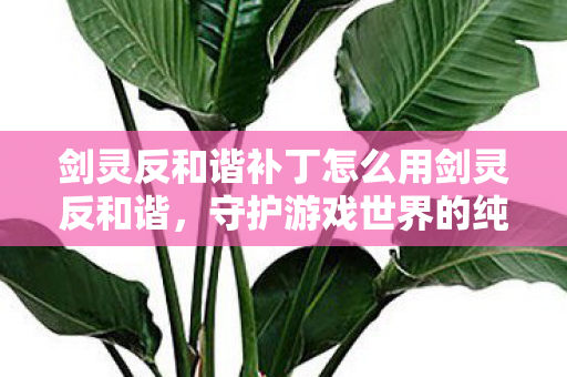 剑灵反和谐补丁怎么用剑灵反和谐,守护游戏世界的纯净与平衡,如何正确使用剑灵反和谐补丁,守护游戏世界的纯净与平衡 剑灵反和谐补丁怎么用剑灵反和谐,守护游戏世界的纯净与平衡,如何正确使用剑灵反和谐补丁,守护游戏世界的纯净与平衡