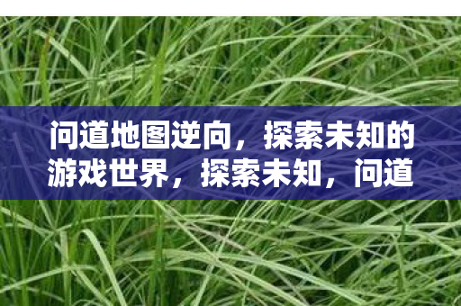 问道地图逆向,探索未知的游戏世界,探索未知,问道地图逆向揭秘游戏世界 问道地图逆向,探索未知的游戏世界,探索未知,问道地图逆向揭秘游戏世界