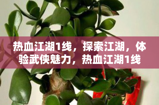 热血江湖1线，探索江湖，体验武侠魅力，热血江湖1线，探索江湖，体验武侠魅力