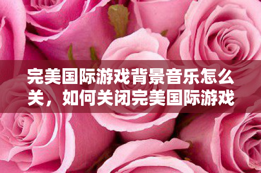 如何关闭完美国际游戏背景音乐图片