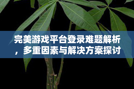 完美游戏平台登录难题解析及解决方案探讨图片