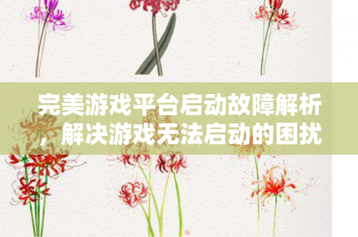 完美游戏平台启动故障解析，解决游戏无法启动的困扰，完美游戏平台启动故障解析，解决游戏无法启动的困扰