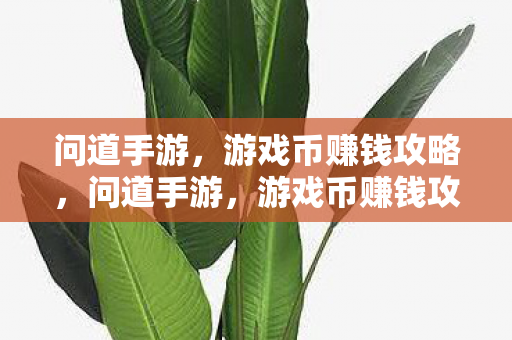 游戏币赚钱攻略揭秘图片