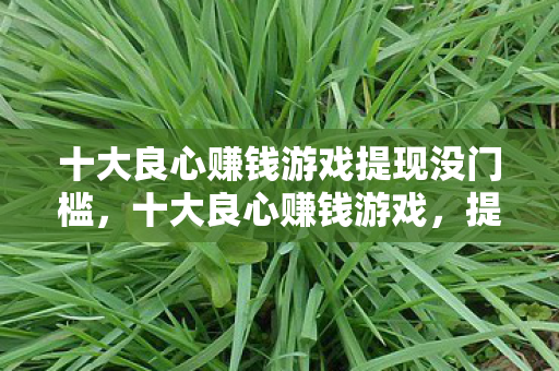 十大良心赚钱游戏提现没门槛图片