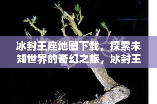 冰封王座地图下载，探索未知世界的奇幻之旅，冰封王座地图下载，开启奇幻探险之旅