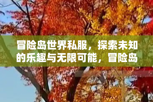 冒险岛世界私服，探索未知的乐趣与无限可能，冒险岛世界私服，探索未知的乐趣与无限可能