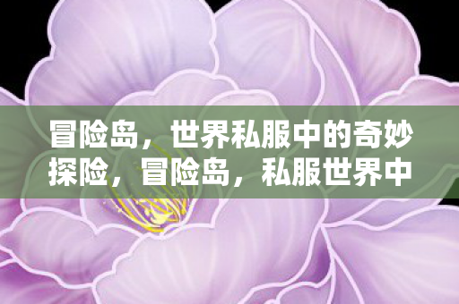 私服世界中的奇妙探险之旅图片