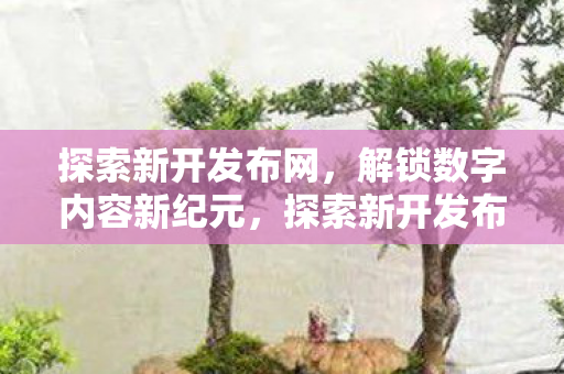 探索新开发布网，解锁数字内容新纪元，探索新开发布网，解锁数字内容新纪元
