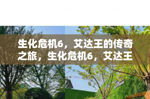 生化危机6，艾达王的传奇之旅，生化危机6，艾达王的传奇之旅