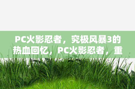 PC火影忍者，究极风暴3的热血回忆，PC火影忍者，重温究极风暴3的热血瞬间