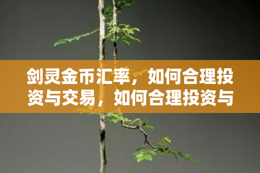 剑灵金币汇率,如何合理投资与交易,如何合理投资与交易剑灵金币?汇率是关键! 剑灵金币汇率,如何合理投资与交易,如何合理投资与交易剑灵金币?汇率是关键!