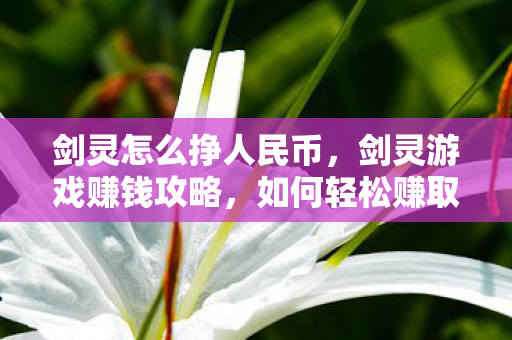 剑灵怎么挣人民币，剑灵游戏赚钱攻略，如何轻松赚取人民币？