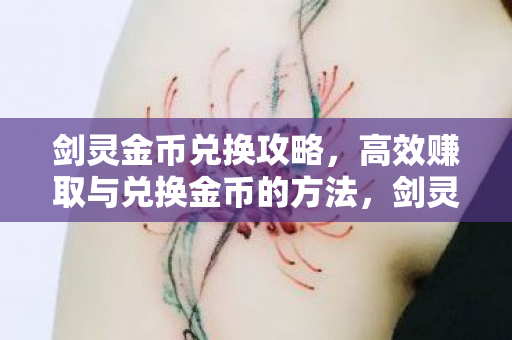 剑灵金币兑换攻略,高效赚取与兑换金币的方法,剑灵金币兑换秘籍,高效赚取与兑换金币的实战指南 剑灵金币兑换攻略,高效赚取与兑换金币的方法,剑灵金币兑换秘籍,高效赚取与兑换金币的实战指南