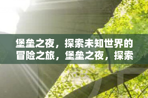 堡垒之夜，探索未知世界的冒险之旅，堡垒之夜，探索未知世界的冒险之旅