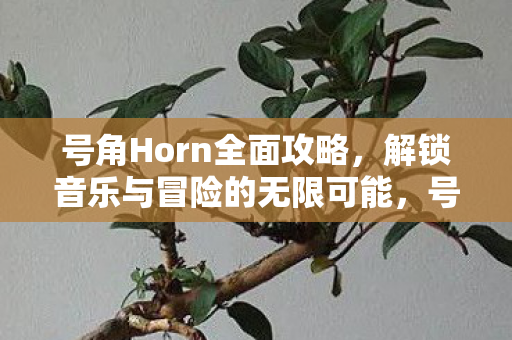 号角Horn全面攻略，解锁音乐与冒险的无限可能，号角Horn，解锁音乐与冒险的无限可能全面攻略