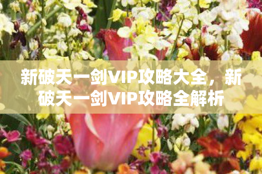新破天一剑VIP攻略全解析图片