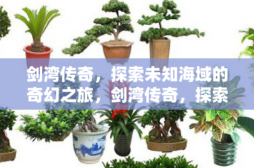 剑湾传奇，探索未知海域的奇幻之旅，剑湾传奇，探索未知海域的奇幻之旅