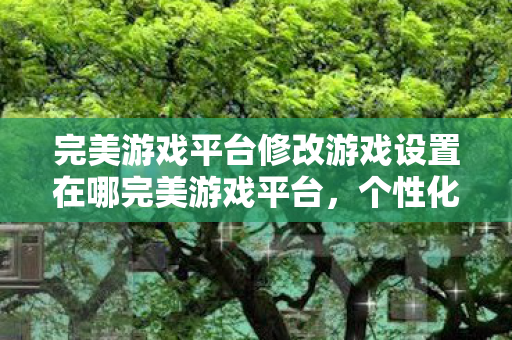 完美游戏平台修改游戏设置在哪完美游戏平台，个性化设置，打造专属游戏体验，完美游戏平台，个性化设置，打造专属游戏体验
