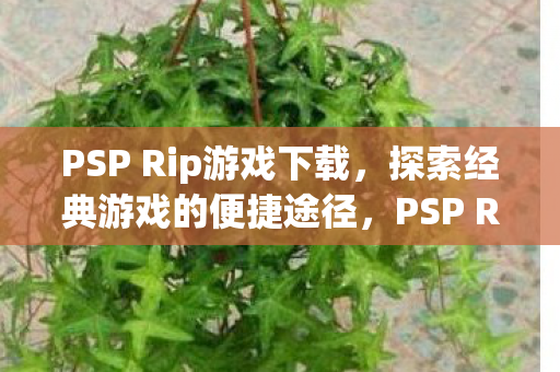 PSP Rip游戏下载，探索经典游戏的便捷途径，PSP Rip游戏，重温经典，便捷下载