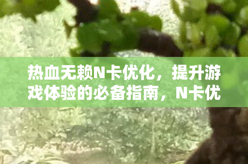 热血无赖N卡优化,提升游戏体验的必备指南,N卡优化热血无赖,打造流畅游戏体验 热血无赖N卡优化,提升游戏体验的必备指南,N卡优化热血无赖,打造流畅游戏体验