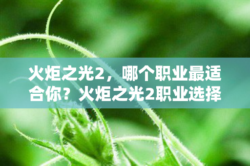 火炬之光2，哪个职业最适合你？火炬之光2职业选择指南，哪个职业最适合你？