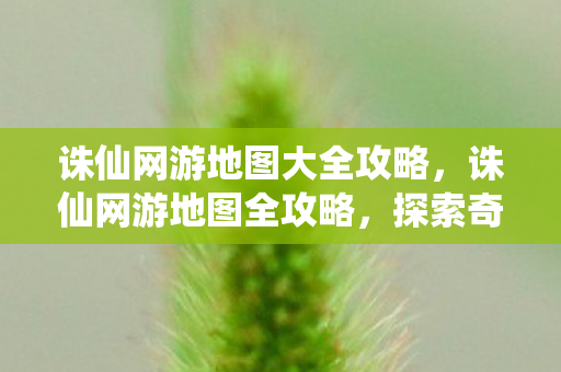诛仙网游地图大全攻略图片