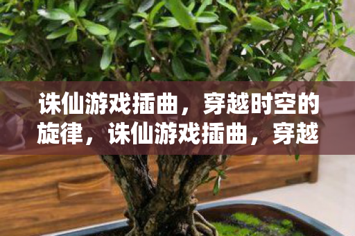 诛仙游戏插曲,穿越时空的旋律,诛仙游戏插曲,穿越时空的旋律 诛仙游戏插曲,穿越时空的旋律,诛仙游戏插曲,穿越时空的旋律