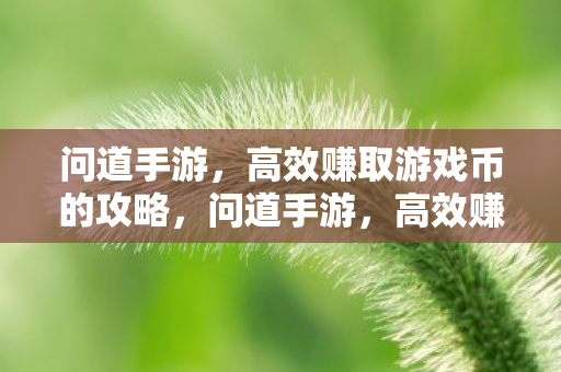 问道手游，高效赚取游戏币的攻略，问道手游，高效赚取游戏币的攻略