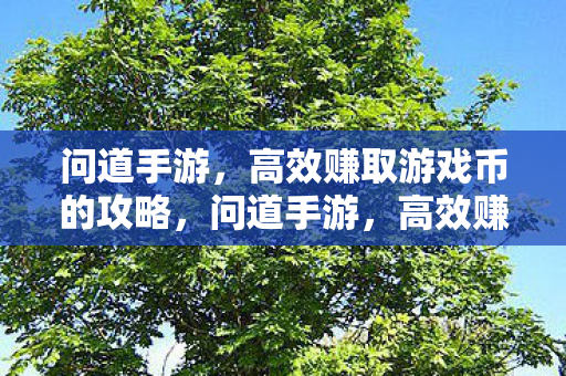 高效赚取游戏币的攻略图片