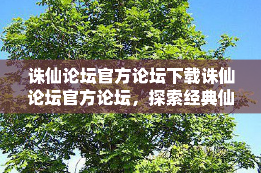 诛仙论坛官方论坛下载诛仙论坛官方论坛图片