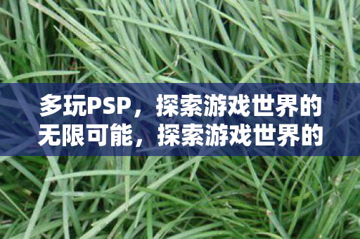 多玩PSP，探索游戏世界的无限可能，探索游戏世界的无限可能，多玩PSP