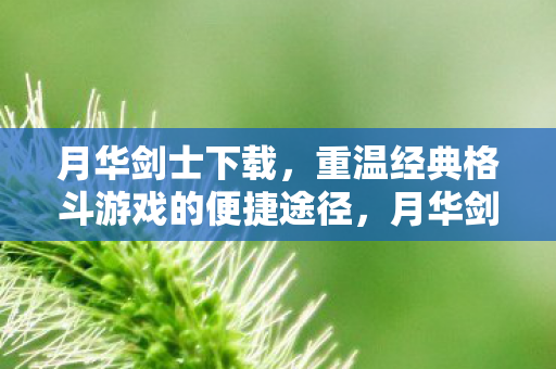 月华剑士下载，重温经典格斗游戏的便捷途径，月华剑士下载，重温经典格斗游戏的便捷途径