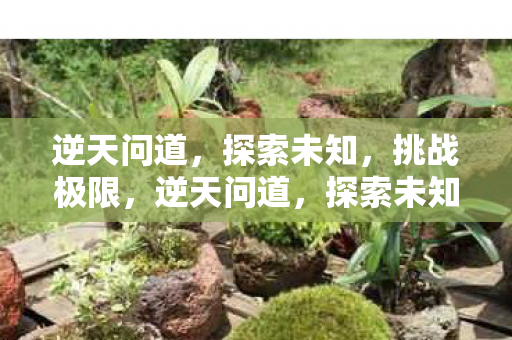 逆天问道，探索未知，挑战极限，逆天问道，探索未知，挑战极限