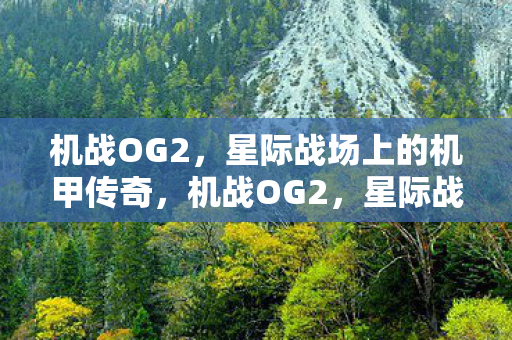 机战OG2，星际战场上的机甲传奇，机战OG2，星际战场上的机甲传奇