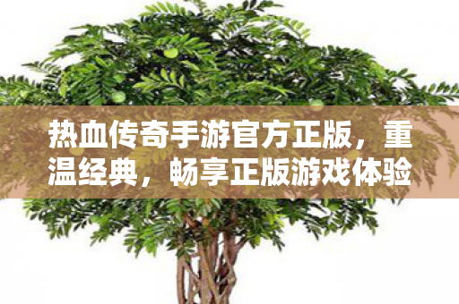 热血传奇手游官方正版图片