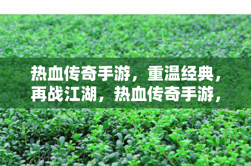 热血传奇手游图片