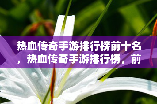 热血传奇手游排行榜前十名图片